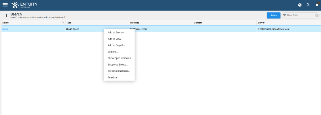Agent Terminal feature – Entuity